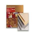 Альбом для пастели А3 300*400 мм Clairefontaine Pastelmat 12 листов склейка 360 г/м2, 4цв 96018С - Фото 1