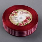 Лента репсовая «Полоски», 25 мм, 23 ± 1 м, цвет бордовый №037 - Фото 2