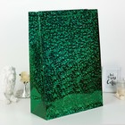 Пакет голографический, зелёный, рисунок МИКС, 42 х 18 х 60 см - Фото 1