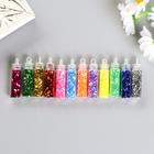 Набор глиттера для творчества в бутылочке "Блеск"(набор 12 шт), вес 1 шт - 2,79 гр - Фото 1