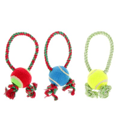 Игрушка канатная с мячом, с регулируемым канатом, до 100 г, цвет МИКС