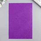 Фетр клеевой "Фиолет" 1 мм (набор 10 листов) формат А4 - Фото 2