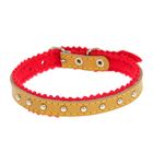 Ошейник кожаный украшенный, на синтепоне, с бубенчиками, 28 х 1 см, желтый - Фото 1