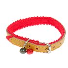 Ошейник кожаный украшенный, на синтепоне, с бубенчиками, 28 х 1 см, желтый - Фото 2