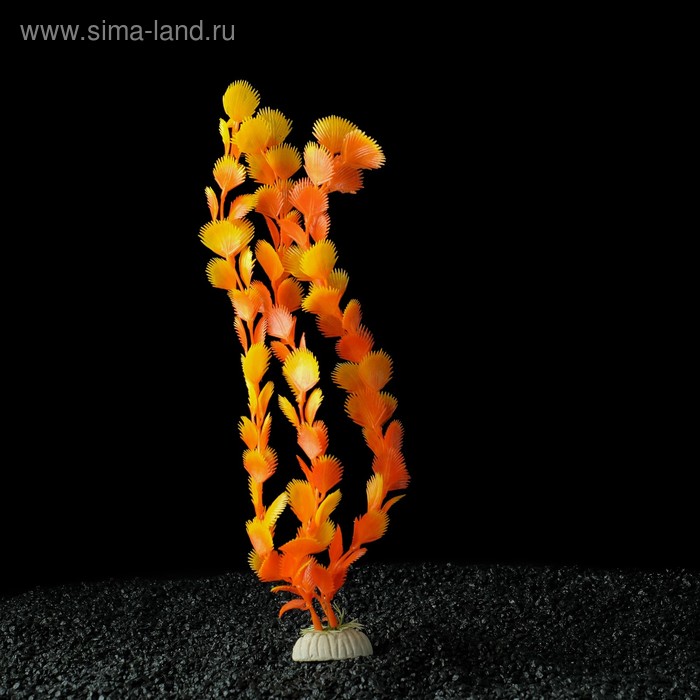 Растение искусственное аквариумное, до 35 см - Фото 1