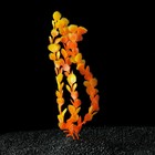 Растение искусственное аквариумное, до 35 см - Фото 2