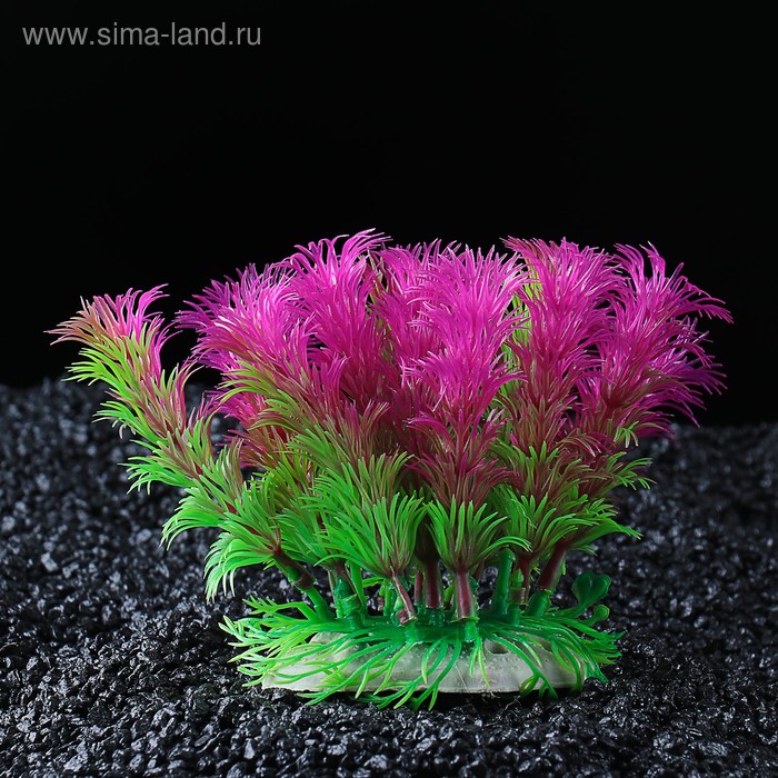 Растение искусственное аквариумное, 17 х 12 х 12 см - Фото 1