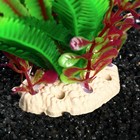 Растение искусственное аквариумное, 22 х 20 х 25 см - Фото 2