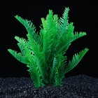 Растение искусственное аквариумное 20 х 16 х 21 см - Фото 1