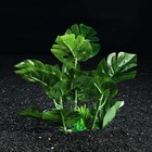 Растение искусственное аквариумное, 28 х 24 х 22 см - Фото 2