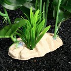 Растение искусственное аквариумное, 28 х 24 х 22 см - Фото 3