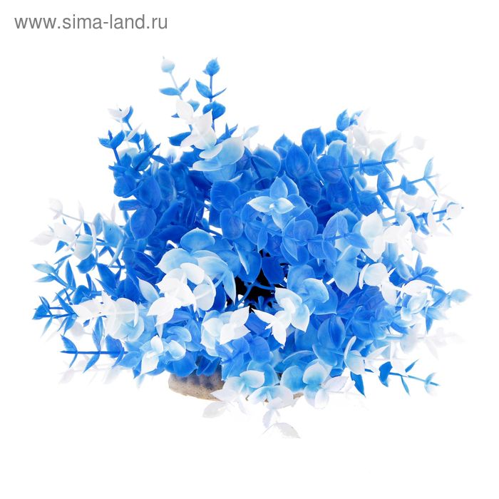 Растение искусственное аквариумное Жерушник водный бело-синий, 20 х 20 х 16 см - Фото 1