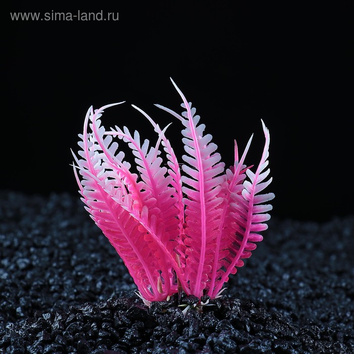 Растение искусственное аквариумное, 10 см - Фото 1