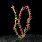 Растение искусственное аквариумное, до 35 см - Фото 2