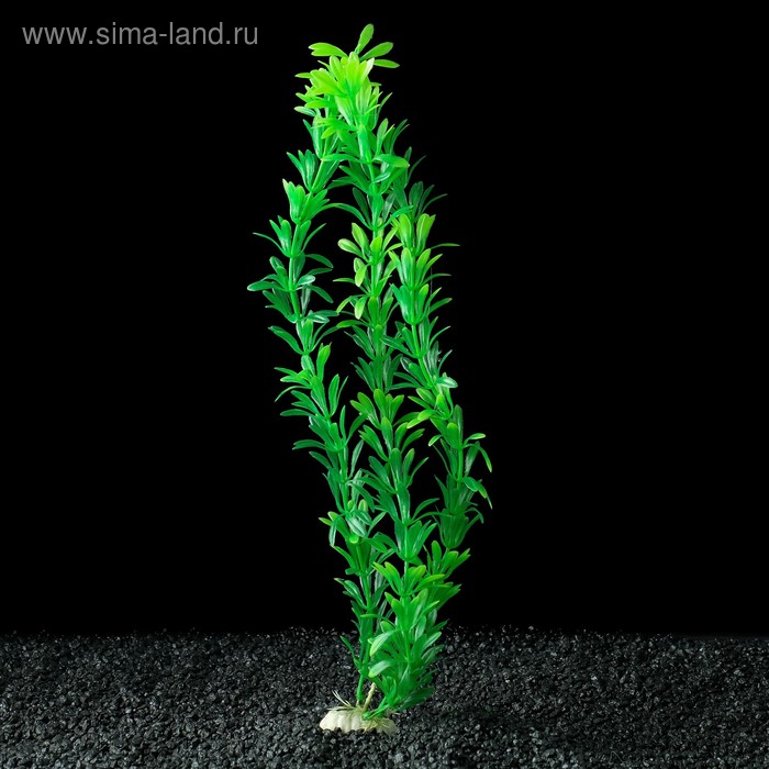Растение искусственное аквариумное, до 35 см - Фото 1