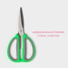 Ножницы кухонные Доляна «Помощник», 15 см, цвет зелёный - фото 4568204