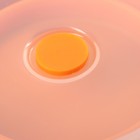 Контейнер складной, 500 мл, 14×6,5 см, с крышкой, цвет МИКС - Фото 7