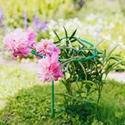 Кустодержатель для цветов, d = 40 см, h = 80 см, ножка d = 1 см, металл, зелёный - Фото 3