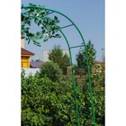 Арка садовая, разборная, 240 × 125 × 36.5 см, металл, зелёная, Greengo - Фото 4