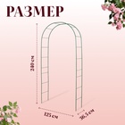 Арка садовая, 240×125×36.5 см, для вьющихся растений, металлическая, зелёная, Greengo - Фото 6