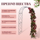 Арка садовая, 230×120×51 см, для вьющихся растений, металлическая, зелёная - Фото 2