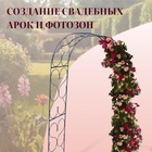 Арка садовая, 230×120×51 см, для вьющихся растений, металлическая, зелёная - Фото 4