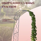 Арка садовая, 230×120×51 см, для вьющихся растений, металлическая, зелёная - Фото 5