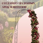 Арка садовая, 240 × 125 × 36.5 см, для вьющихся растений, металлическая, цвет бронзовый антик - фото 6420657