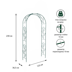 Арка садовая, 230 × 125 × 36.5 см, для вьющихся растений, металлическая, зелёная, «Тюльпан»