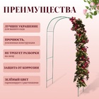 Арка садовая, 230×125×50 см, для вьющихся растений, металлическая, зелёная, «Сетка», Greengo - Фото 2