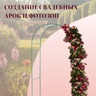Арка садовая, 230×125×50 см, для вьющихся растений, металлическая, зелёная, «Сетка», Greengo - Фото 4