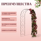 Арка садовая, 230×120×51 см, для вьющихся растений, металлическая, бронзовая - Фото 2