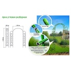 Арка садовая, 230×125×36.5 см, для вьющихся растений, металлическая, зелёная - Фото 11