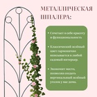 Шпалера, 194×47×1 см, металл, зелёная, «Калинка» - Фото 3