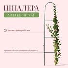 Шпалера, 140×23×1 см, металл, зелёная, «Лестница», МИКС - Фото 1