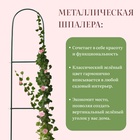 Шпалера, 140×23×1 см, металл, зелёная, «Лестница», МИКС - Фото 3