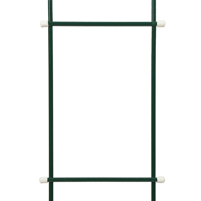 Шпалера, 140 × 23 × 1 см, металл, зелёная, «Лестница», МИКС - фото 1884769754