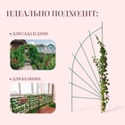 Шпалера, 175×65×1 см, металл, зелёная, «Парус» - фото 30518427