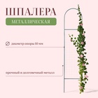 Шпалера, 170×35×1 см, металл, зелёная, «Сетка мини» - Фото 1