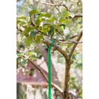 Опора для ветвей, h = 160-280 см, ножка d = 1,6 см, металл, зелёная - Фото 5
