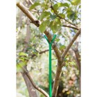 Опора для ветвей, h = 160-280 см, ножка d = 1,6 см, металл, зелёная - Фото 6