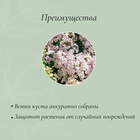 Кустодержатель для цветов, d = 6 см, h = 80 см, металл, зелёный, «Спираль» 2083079 - фото 2180802