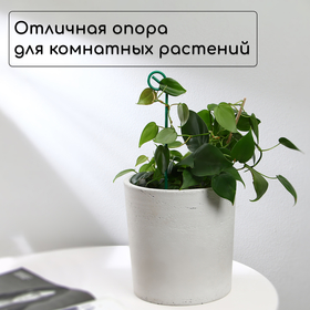 Колышек для подвязки растений, h=30 см, d=3 мм, проволочный, зелёный, Greengo (комплект 10 шт)