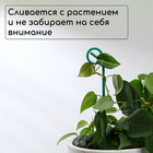 Колышек для подвязки растений, h = 30 см, d = 0,3 см, проволочный, зелёный, Greengo - Фото 3