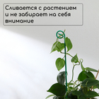 Колышек для подвязки растений, h = 40 см, d = 0.3 см, проволочный, зелёный, Greengo - Фото 3