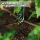 Колышек для подвязки растений, h = 40 см, d = 0.3 см, проволочный, зелёный, Greengo - Фото 4