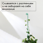 Колышек для подвязки растений, h = 60 см, d = 0.3 см, проволочный, зелёный, Greengo - Фото 3