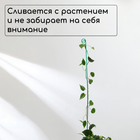 Колышек для подвязки растений, h = 80 см, d = 0.3 см, проволочный, зелёный, Greengo - Фото 3