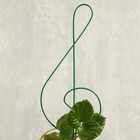 Шпалера, 47 × 11 × 0.3 см, металл, зелёная, «Скрипичный ключ» - Фото 3