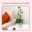 Шпалера, 47 × 11 × 0.3 см, металл, зелёная, «Скрипичный ключ» - Фото 2